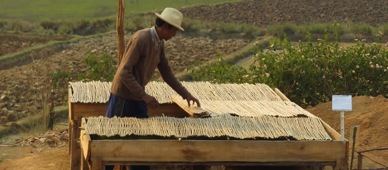 1 MISSION = 1 ARBRE,  CE SONT PLUS DE 600 ARBRES QUI SERONT PLANTES A MADAGASCAR